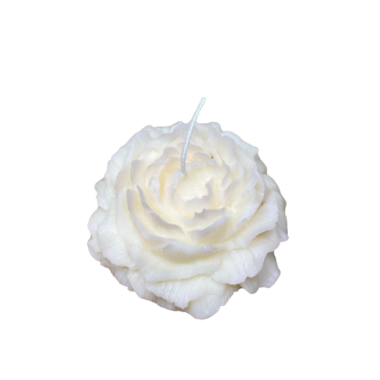 Screenshot_2-PhotoRoom.png-PhotoRoom