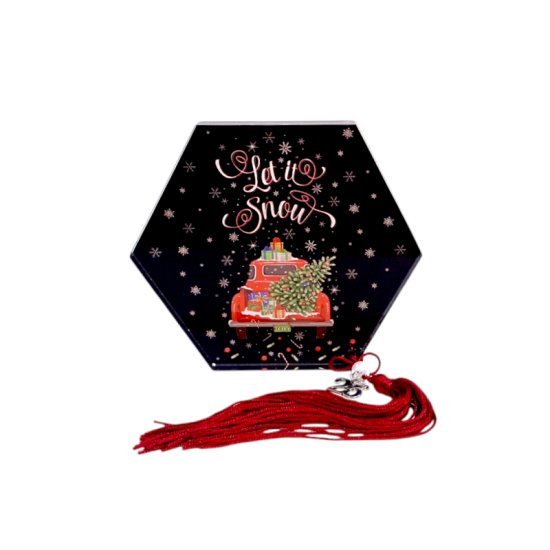 gouri-2025-plexiglass-let-it-snow-moana